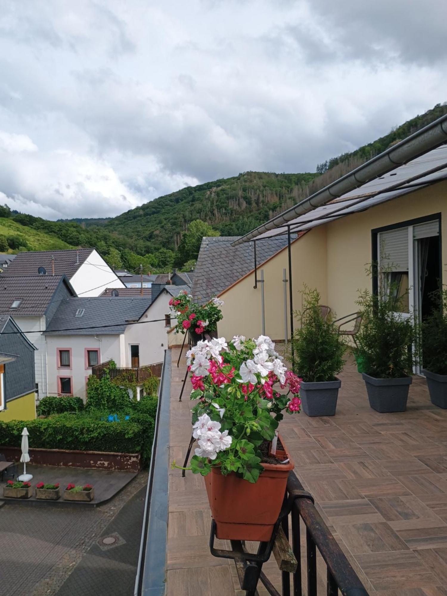 Gasthof Zur Grafschaft Veldenz Exteriör bild